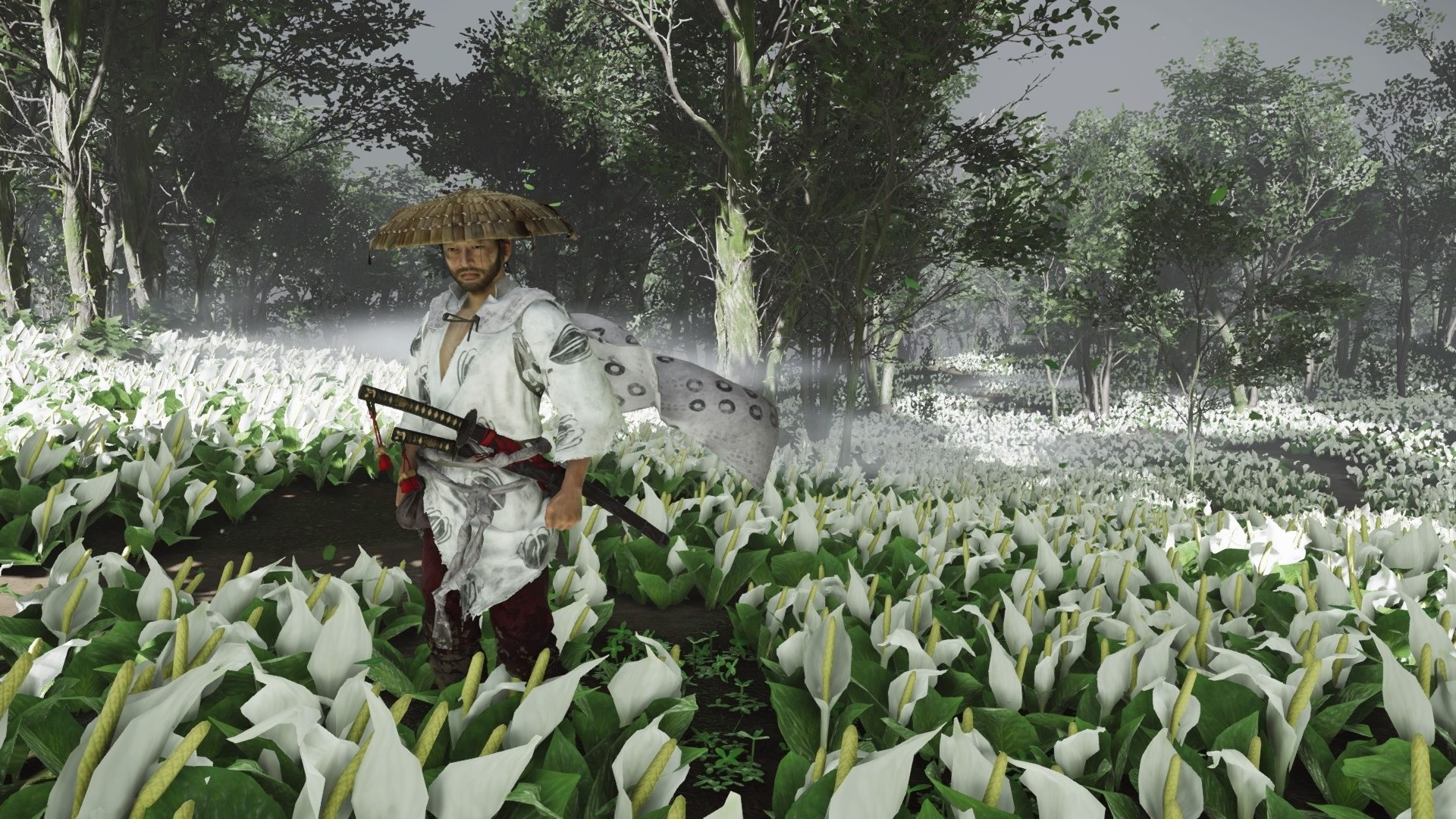 Ghost of Tsushima jin in white flower fields by subinitsu