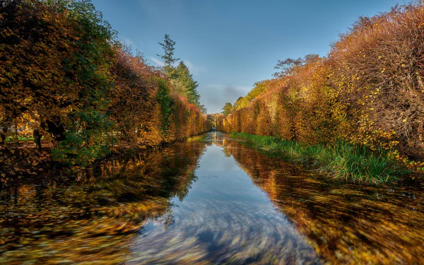 reflection hedge fall nature river HD Desktop Wallpaper | Background Image