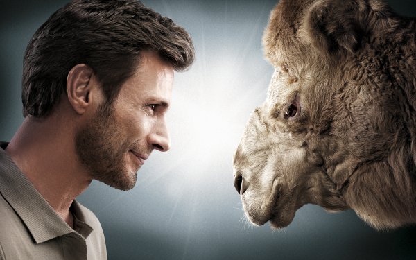 Men Mood Camel Profile HD Wallpaper | Background Image