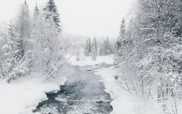 HD desktop wallpaper of a winter river flowing through a snow-covered forest in nature, showcasing serene and crisp snowy landscapes.