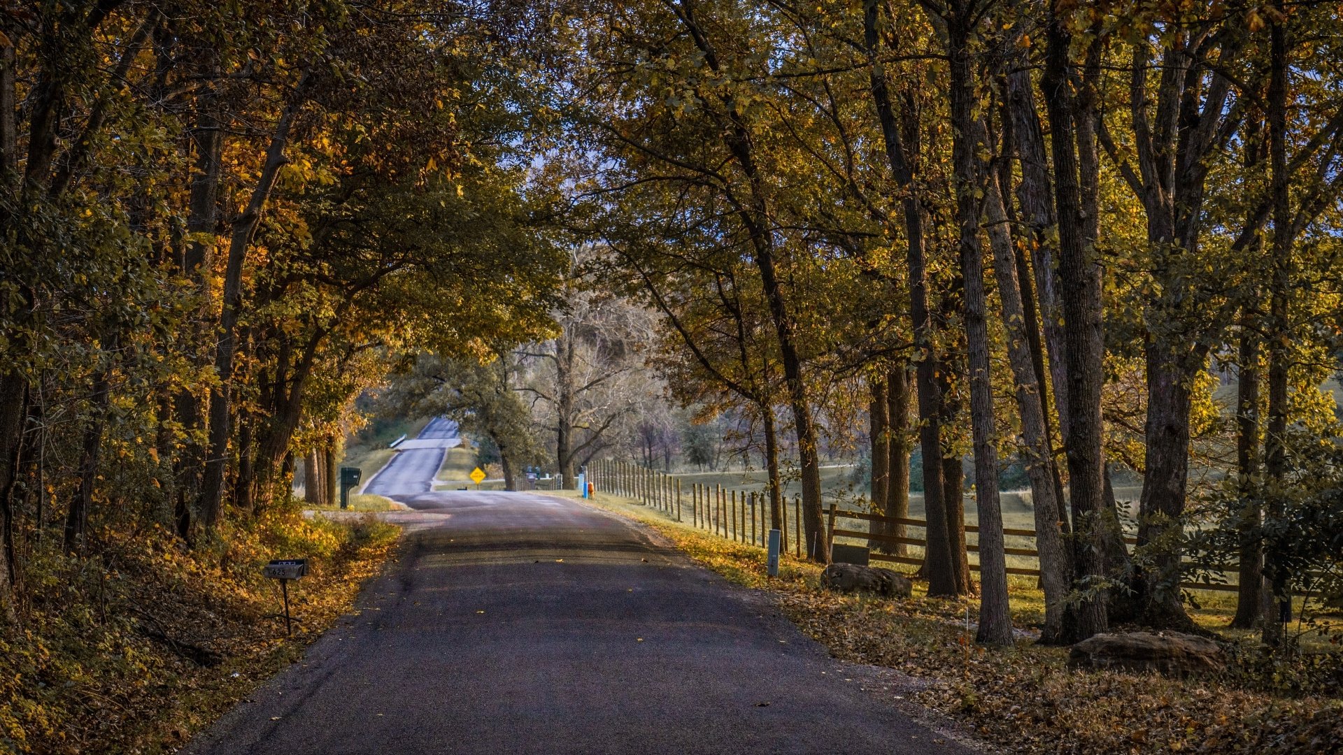 Autumn Pathway: Man-Made Road Through Fall’s Golden Nature – 4K Ultra ...