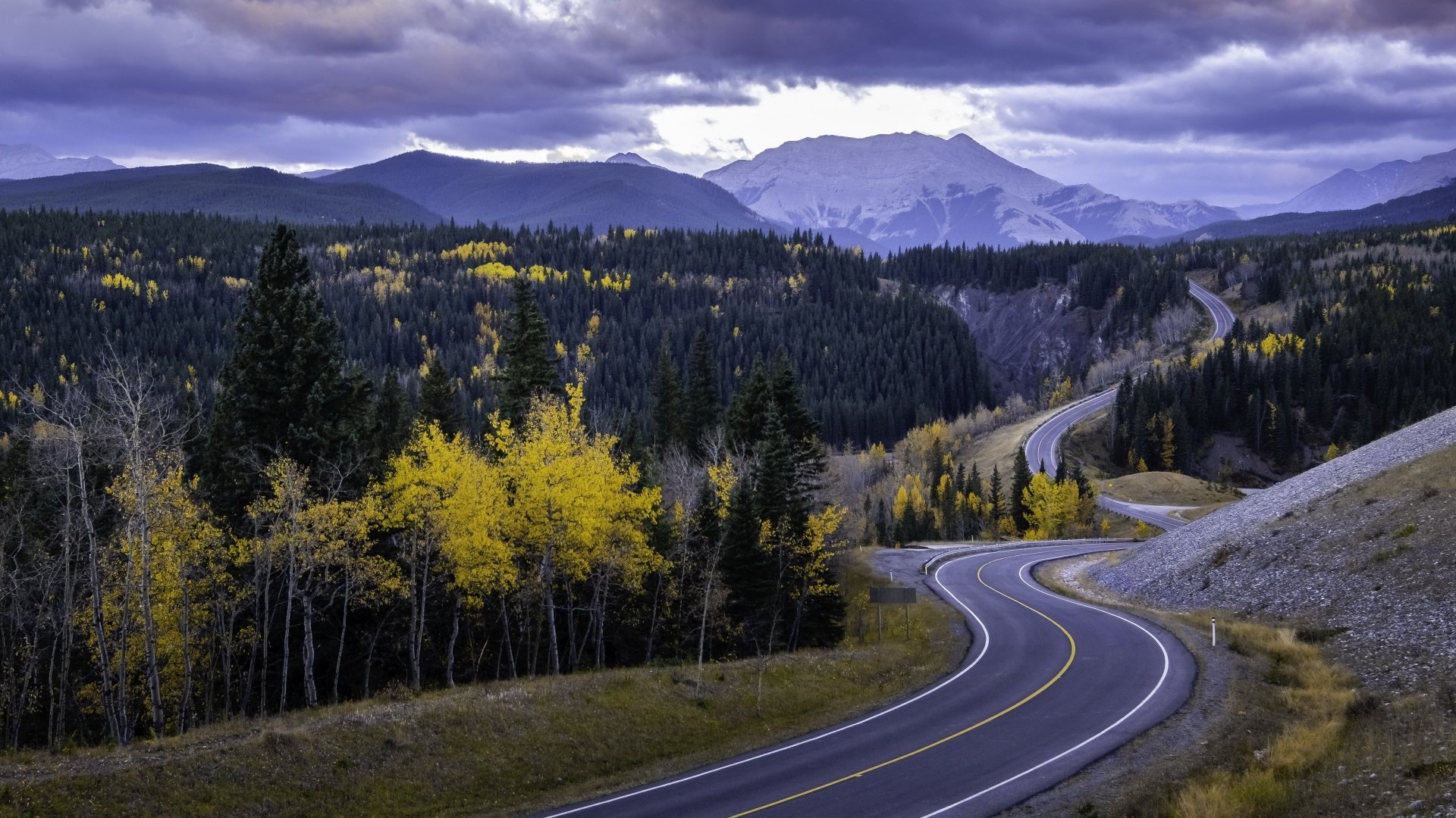 Download Forest Fall Man Made Road 4k Ultra HD Wallpaper | 3840x2160 ...