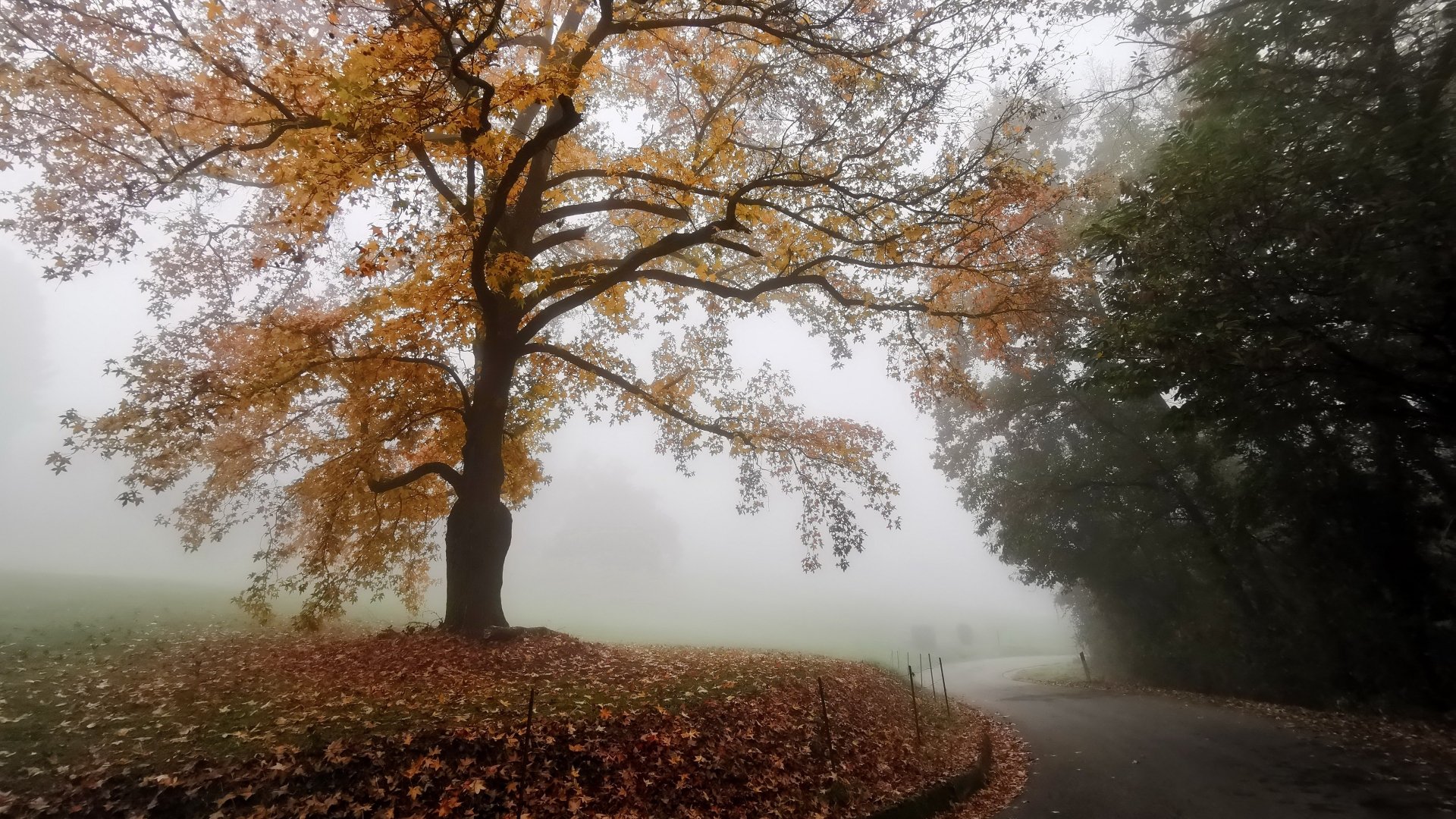 Download Fog Fall Man Made Road 4k Ultra HD Wallpaper | 3840x2160 ...