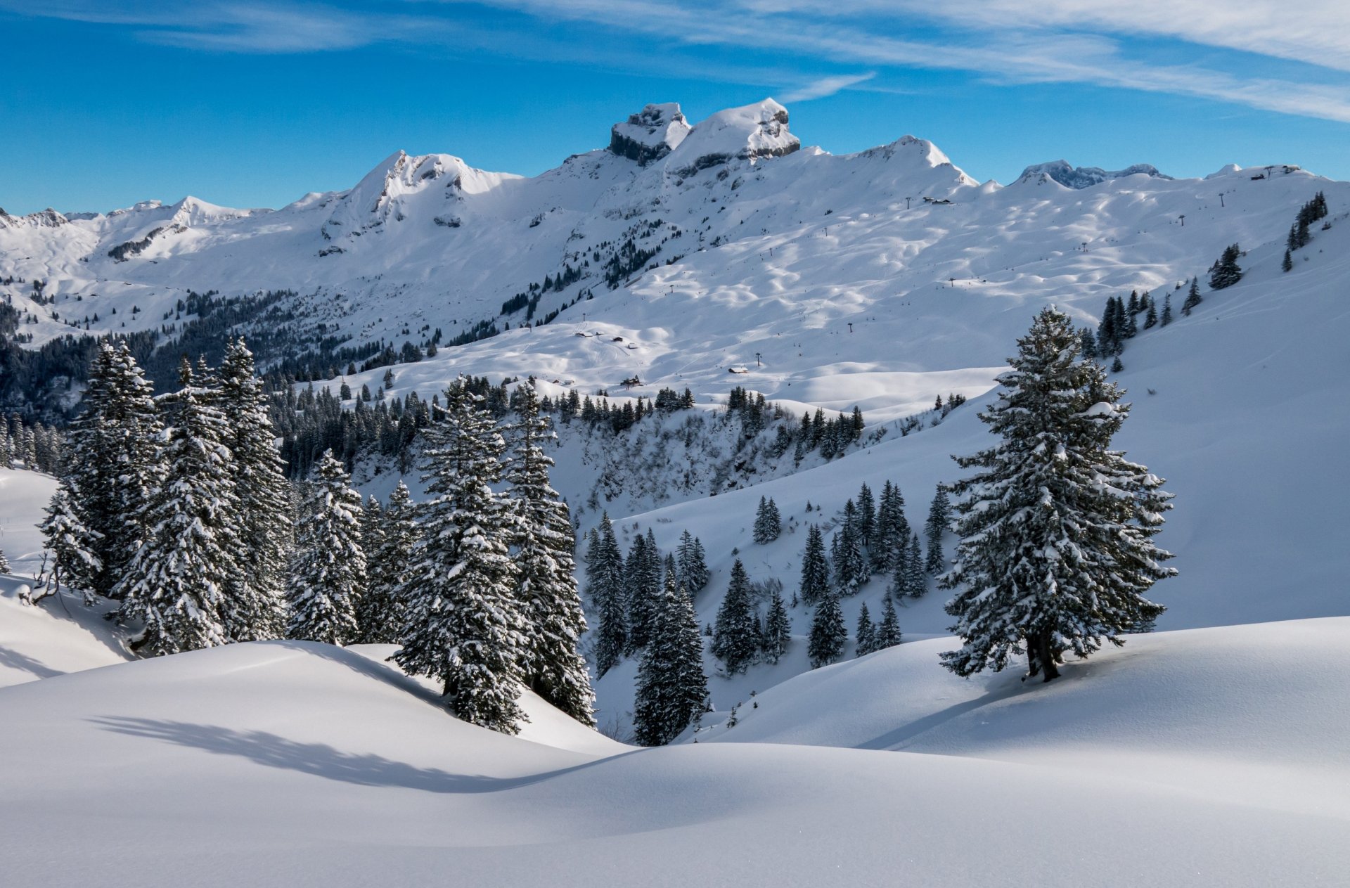 Snow-covered spruce trees stand in front of a towering snowy mountain peak under a clear blue winter sky.