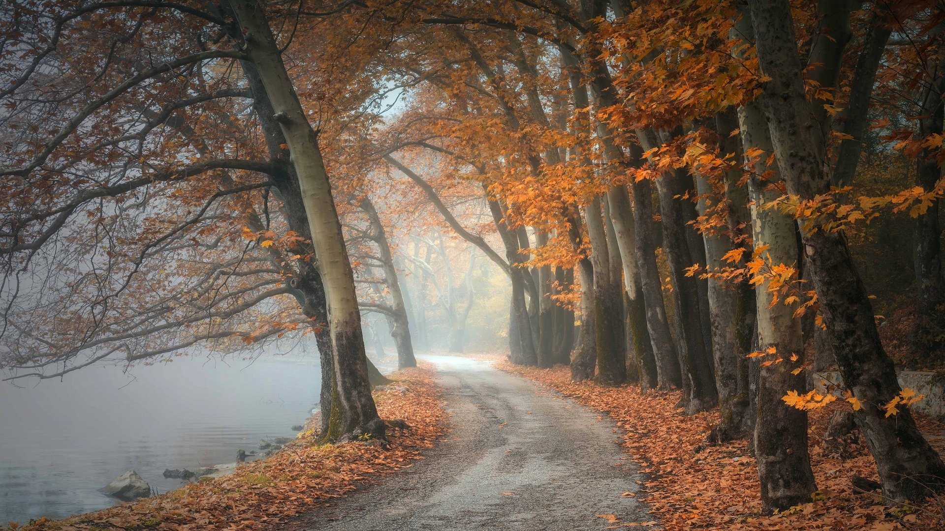 Misty Autumn Path by the Lake – 4K Ultra HD Fall Forest Wallpaper ...