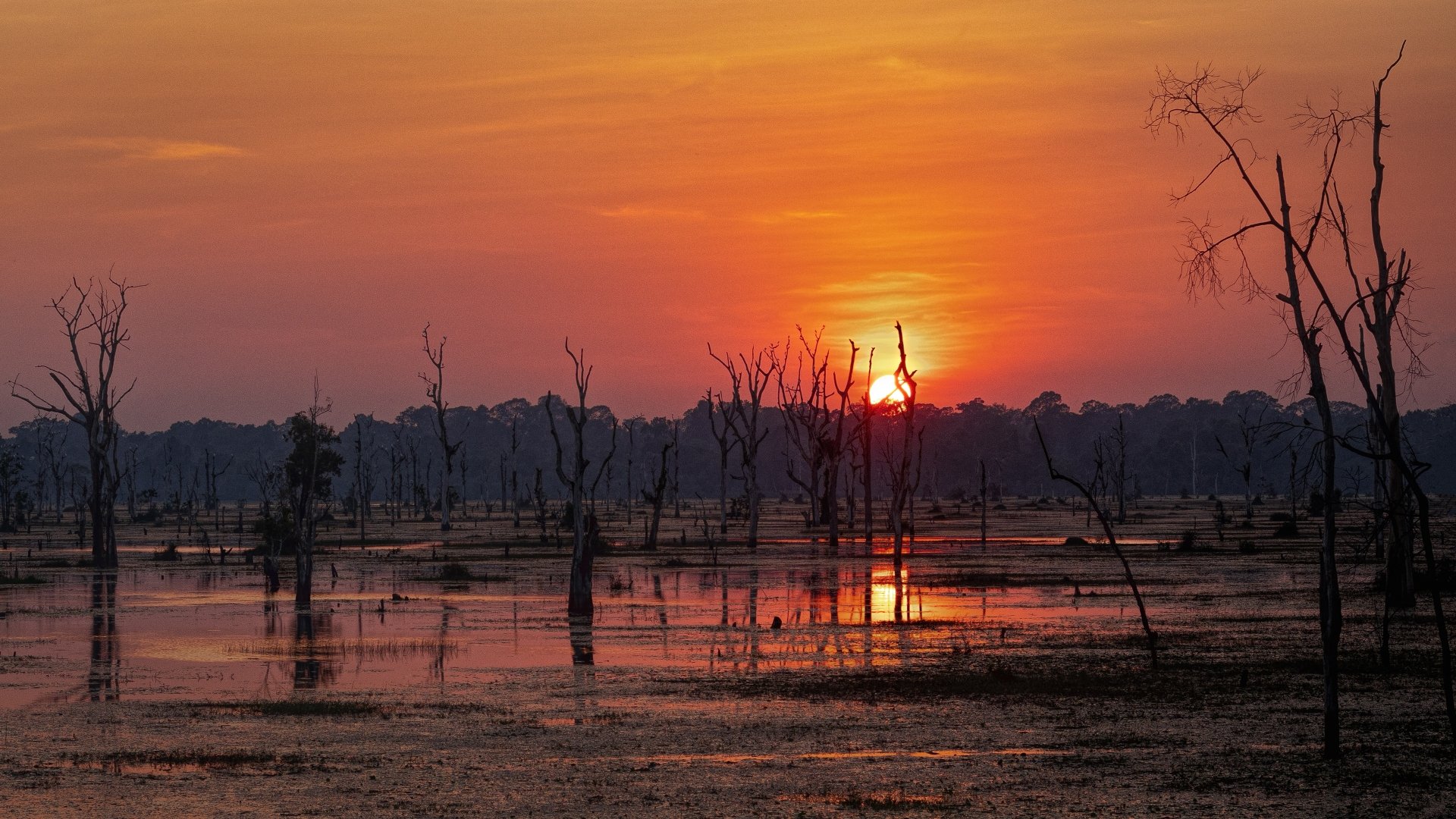 4K Ultra HD desktop wallpaper: foggy swamp lake at sunset, silhouetted dead trees rising from reflective orange-pink water under a glowing sky.