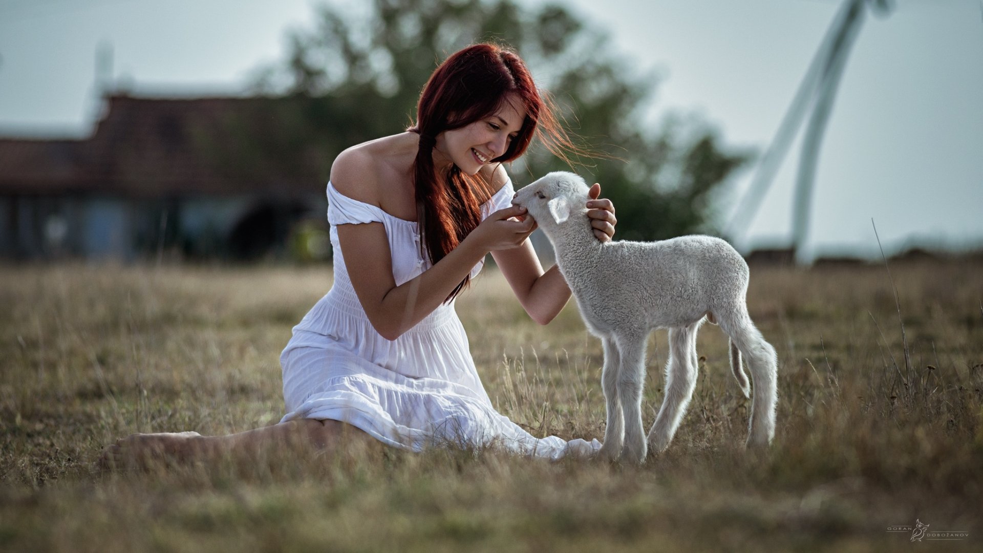 A woman in a white dress smiles warmly while gently interacting with a lamb in a serene outdoor setting, captured in an HD PC desktop wallpaper.