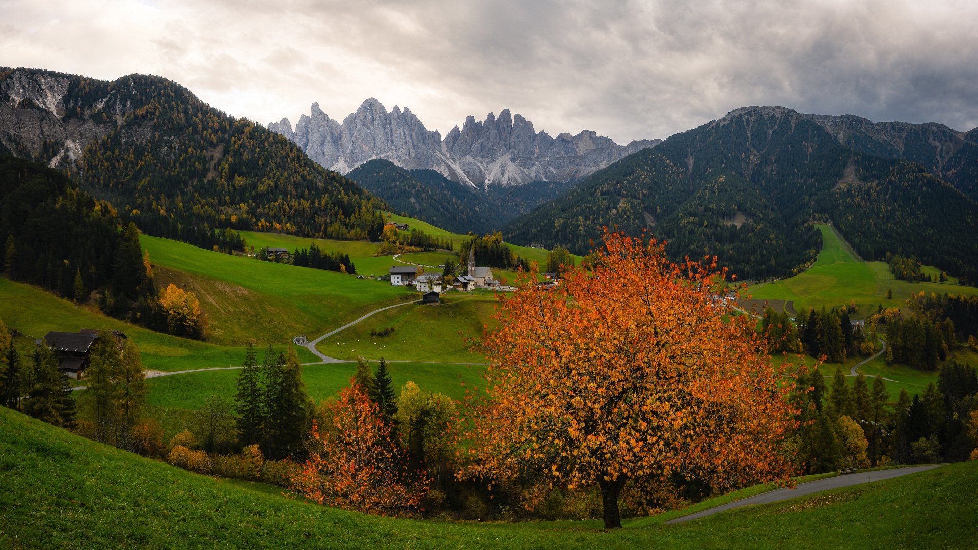 Download Alps Mountain Cloud Forest Fall Road Man Made Village 4k Ultra