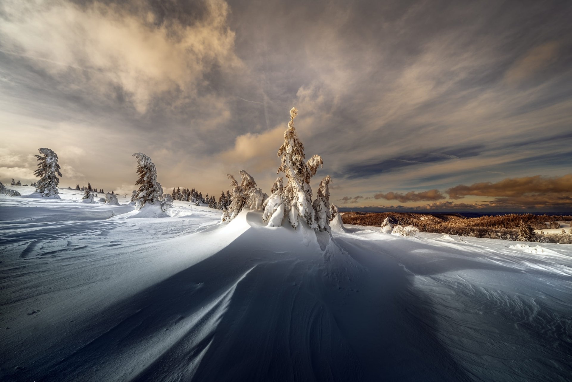 Winter HD Wallpaper | Background Image | 2000x1334 | ID:1119887