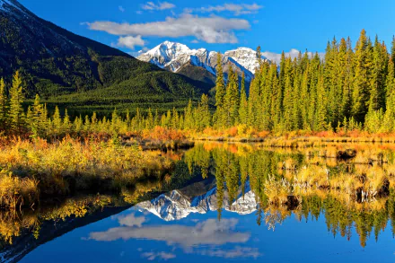 rocky mountains Alberta Canada reflection lake mountain forest fall nature banff national park HD Desktop Wallpaper | Background Image