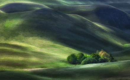grassland vegetation hill nature landscape HD Desktop Wallpaper | Background Image