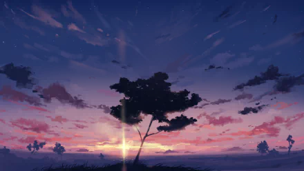 HD anime desktop wallpaper featuring a vibrant sky at sunset with rich colors blending from twilight to sunrise behind a silhouetted tree.