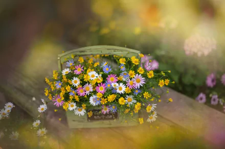 wildflower blur bouquet man made flower HD Desktop Wallpaper | Background Image