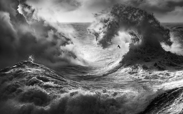 Earth Wave Black & White HD Wallpaper | Background Image