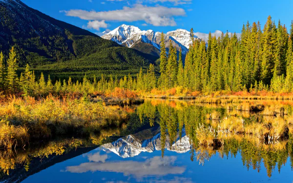 rocky mountains Alberta Canada reflection lake mountain forest fall nature banff national park HD Desktop Wallpaper | Background Image