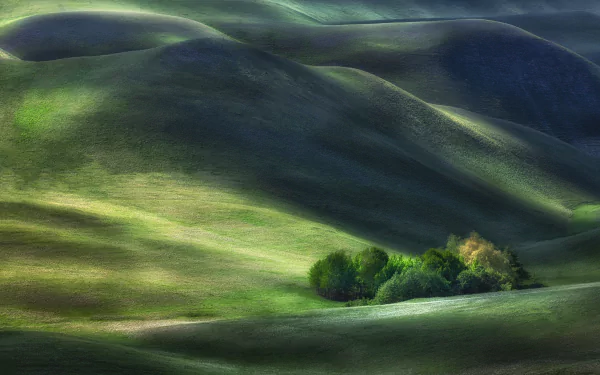 grassland vegetation hill nature landscape HD Desktop Wallpaper | Background Image