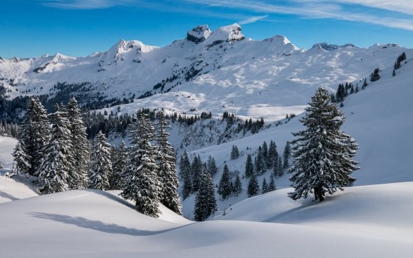 Earth Winter Snow Mountain Peak Spruce HD Wallpaper | Background Image