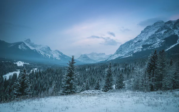 Snow-covered spruce trees stand in a Canadian winter forest beneath towering snowy mountains, captured in stunning 4K Ultra HD clarity.