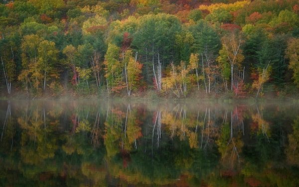 Earth Reflection Lake Nature HD Wallpaper | Background Image