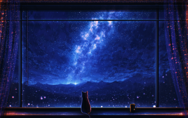 Anime Sky Cat Rain Night HD Wallpaper | Background Image