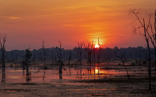 4K Ultra HD desktop wallpaper: foggy swamp lake at sunset, silhouetted dead trees rising from reflective orange-pink water under a glowing sky.