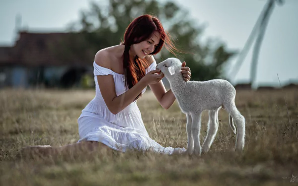 A woman in a white dress smiles warmly while gently interacting with a lamb in a serene outdoor setting, captured in an HD PC desktop wallpaper.