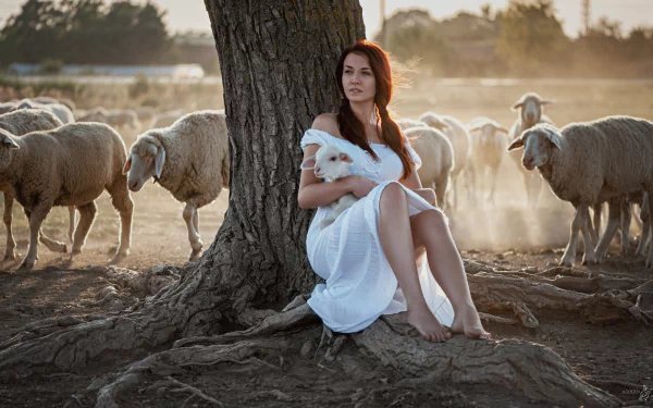 trunk lamb sheep woman mood HD Desktop Wallpaper | Background Image