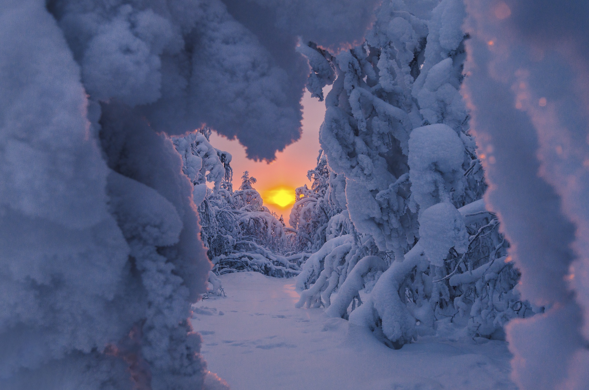 Nature Winter HD Wallpaper by Vladimir Ryabkov