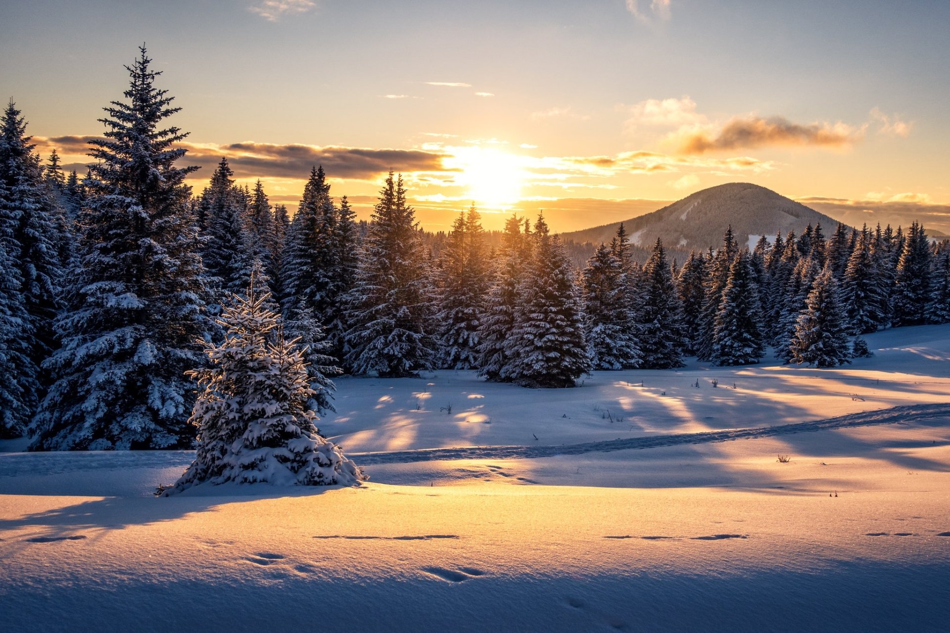 Download Nature Austria Sunset Snow Forest Winter Winter Sunset HD Wallpaper by seungmin Kim
