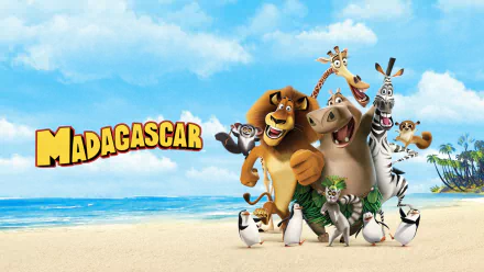 movie Madagascar HD Desktop Wallpaper | Background Image