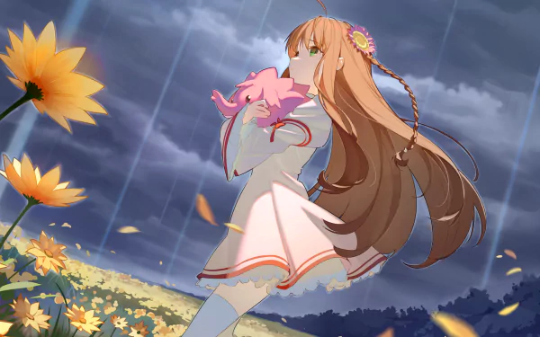 HD PC desktop wallpaper featuring Kotori Minami from Love Live!, standing in a field of yellow flowers under a cloudy sky with soft, flowing hair and delicate outfit details.