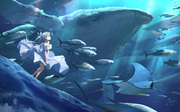 This HD anime-style wallpaper depicts a serene underwater scene featuring a girl in a white dress surrounded by various marine animals, including a majestic humpback whale, set against a vibrant blue background.