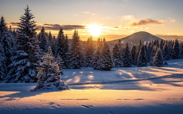 Winter Sunset Wallpaper and Background Image | 1366x768 | ID:672607 ...