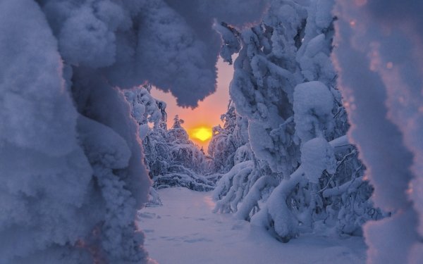 Nature Winter Snow Sunrise HD Wallpaper | Background Image