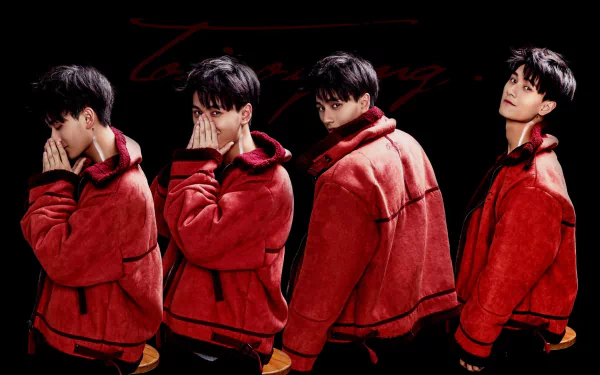 Celebrity Ji Li HD Desktop Wallpaper | Background Image