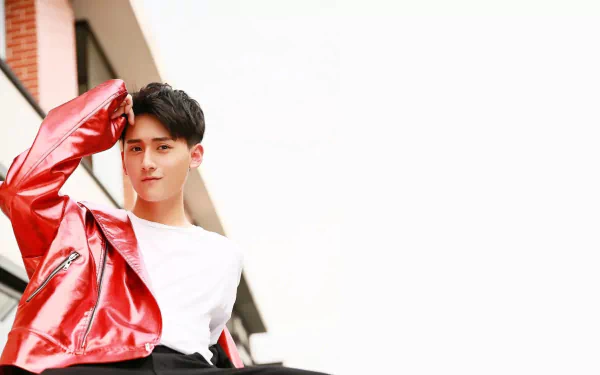 Celebrity Ji Li HD Desktop Wallpaper | Background Image