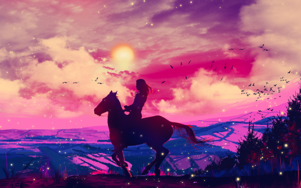 Artistic Sunset Horse Sky HD Wallpaper | Background Image