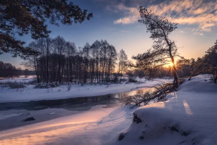 outdoor sunset tree river nature winter winter sunset HD Desktop Wallpaper | Background Image