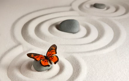 zen stone sand monarch butterfly Animal butterfly HD Desktop Wallpaper | Background Image