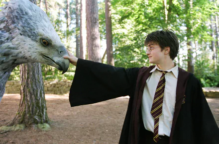 HD PC desktop wallpaper featuring Daniel Radcliffe as Harry Potter from the movie Harry Potter and the Prisoner of Azkaban, interacting with Buckbeak the Hippogriff in a forest.