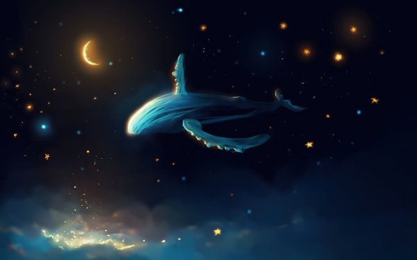 Fantasy Whale Fantasy Animals Stars Sky HD Wallpaper | Background Image