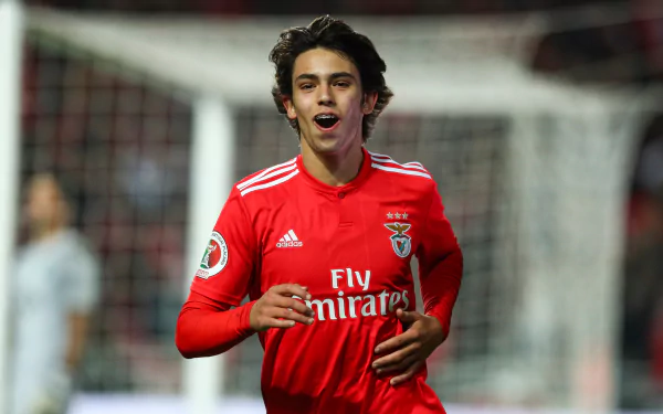 soccer Portuguese Joao Felix Sports HD Desktop Wallpaper | Background Image