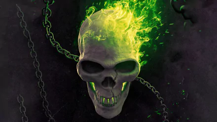 skull Comic Ghost Rider HD Desktop Wallpaper | Background Image