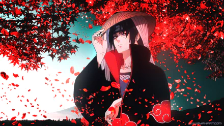 HD desktop wallpaper featuring Itachi Uchiha from the anime Naruto, dressed in Akatsuki attire, with a serene, red leaf background.