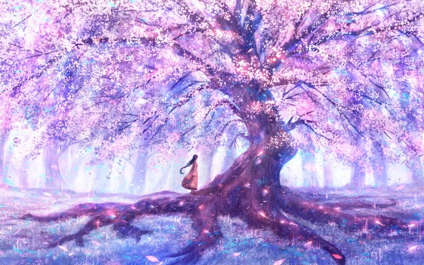 Anime Girl Sakura Flower Long Hair HD Wallpaper | Background Image