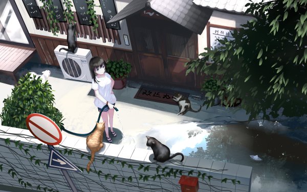 Anime Girl Cat Black Hair HD Wallpaper | Background Image