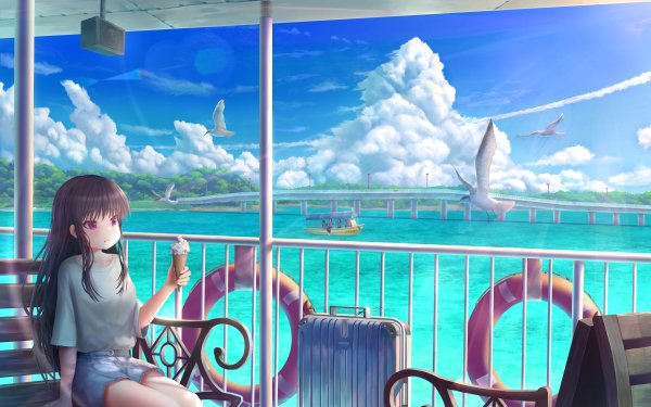 Anime Girl Sky Cloud Long Hair Bird Sea HD Wallpaper | Background Image