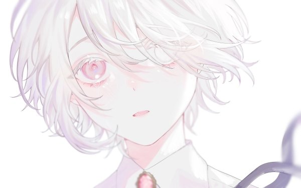 Anime Boy Short Hair Heterochromia HD Wallpaper | Background Image