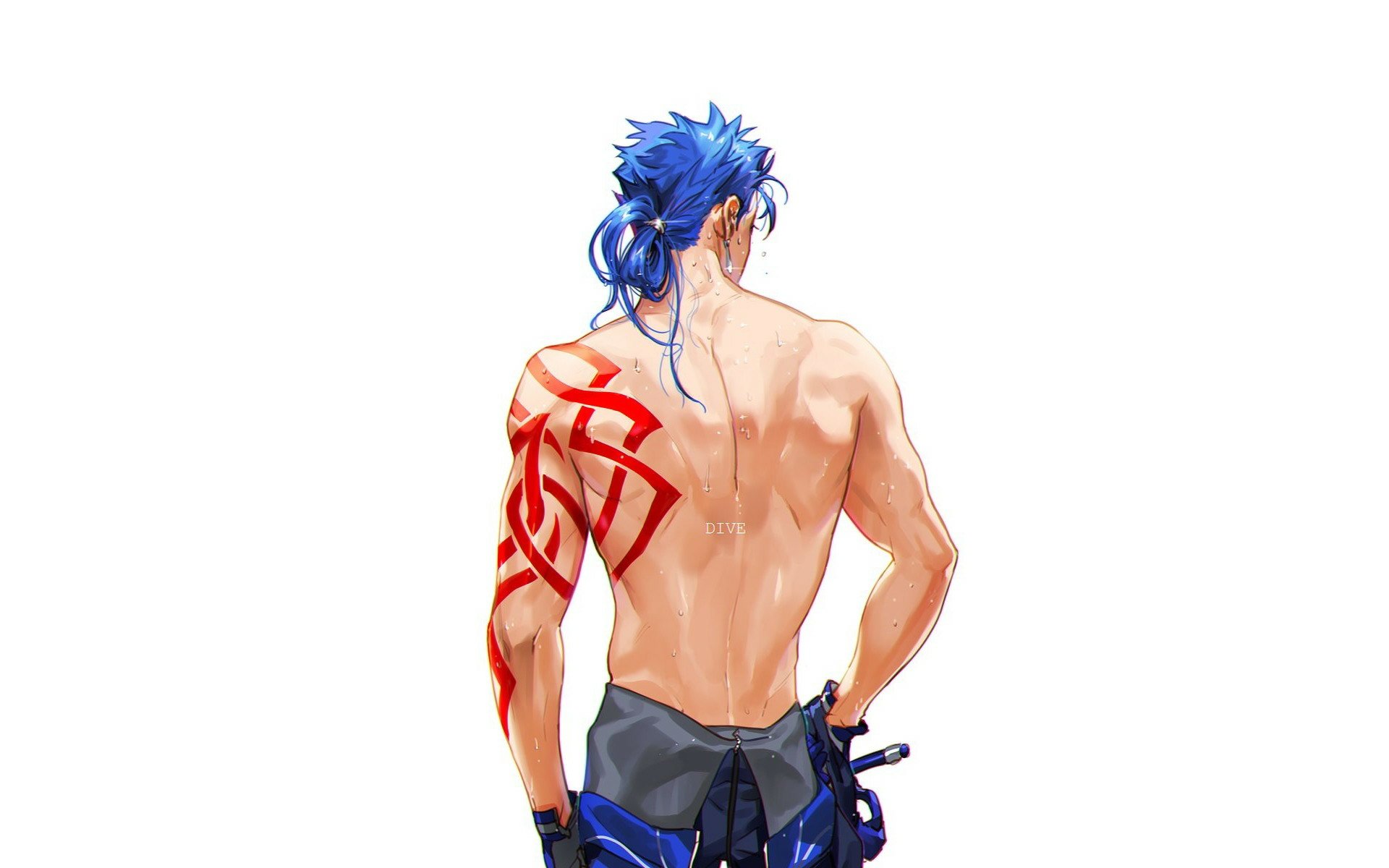 Download Cu Chulainn Blue Hair Anime Fate/Zero HD Wallpaper