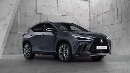  2022 Lexus NX F Sport